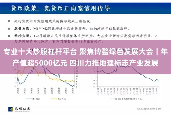 专业十大炒股杠杆平台 聚焦博鳌绿色发展大会｜年产值超5000亿元 四川力推地理标志产业发展