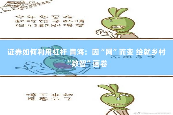 证券如何利用杠杆 青海：因“网”而变 绘就乡村“数智”画卷