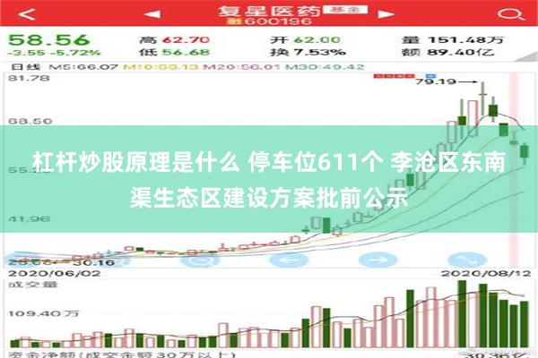 杠杆炒股原理是什么 停车位611个 李沧区东南渠生态区建设方案批前公示