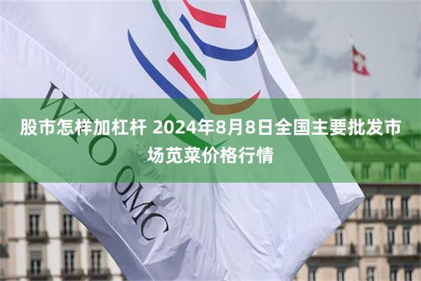 股市怎样加杠杆 2024年8月8日全国主要批发市场苋菜价格行情