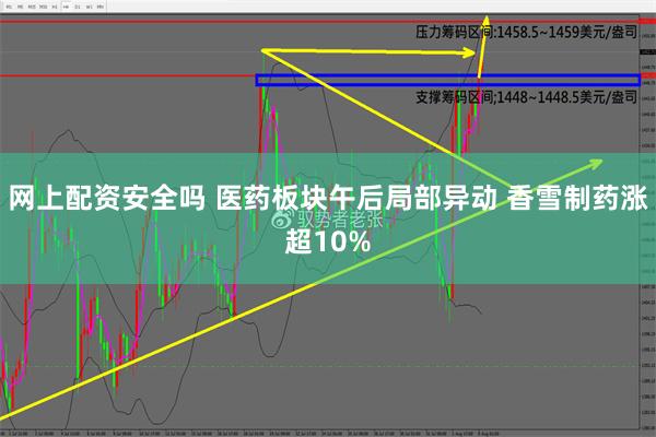 网上配资安全吗 医药板块午后局部异动 香雪制药涨超10%