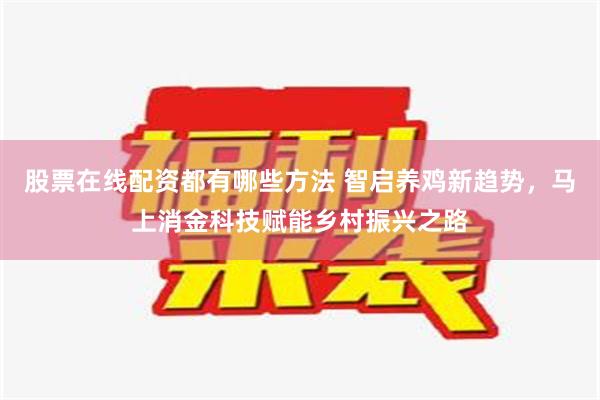 股票在线配资都有哪些方法 智启养鸡新趋势，马上消金科技赋能乡村振兴之路