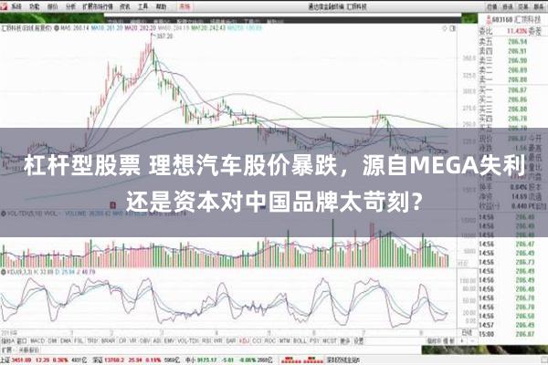 杠杆型股票 理想汽车股价暴跌，源自MEGA失利还是资本对中国品牌太苛刻？