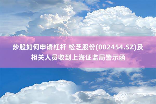 炒股如何申请杠杆 松芝股份(002454.SZ)及相关人员收到上海证监局警示函